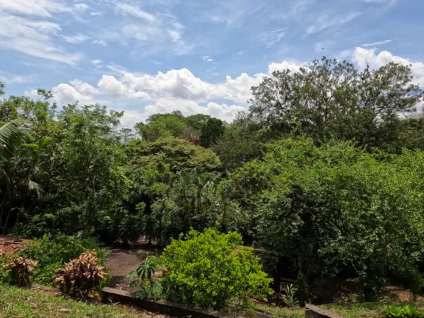 forest in costa rica mountain hotel