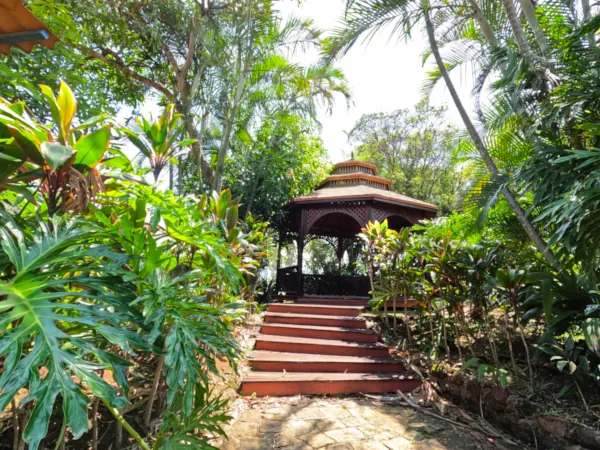 kiosk in costa rica forest