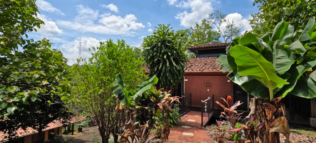 hotel room surrounded by bushes and trees