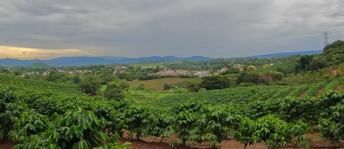 view of a town and coffee farm is costa rica's central valley