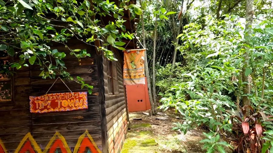 cabin or cabin in the middle of a forest in Costa Rica