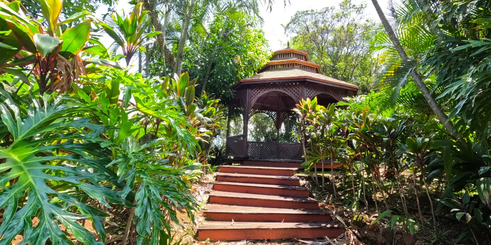 vintage kiosk in forest