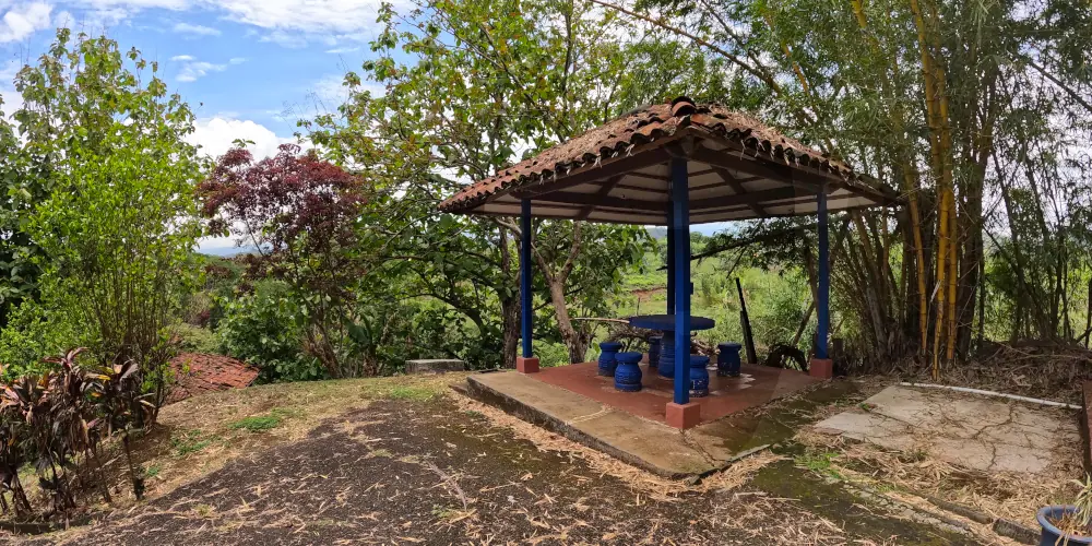 quiosk surrounded by trees 