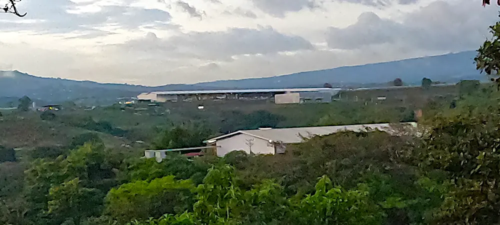 buildings inside free trade zone