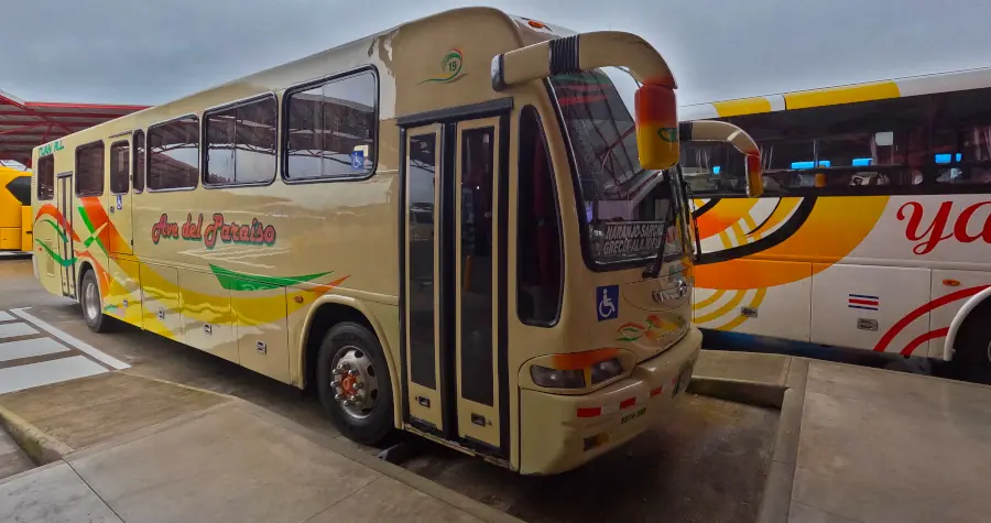 bus parqueado en terminal