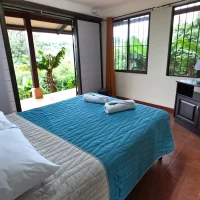 room with view to forest in serenity