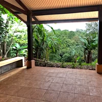 view of costa rica forest from a porshe