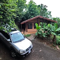 house and car in forest property